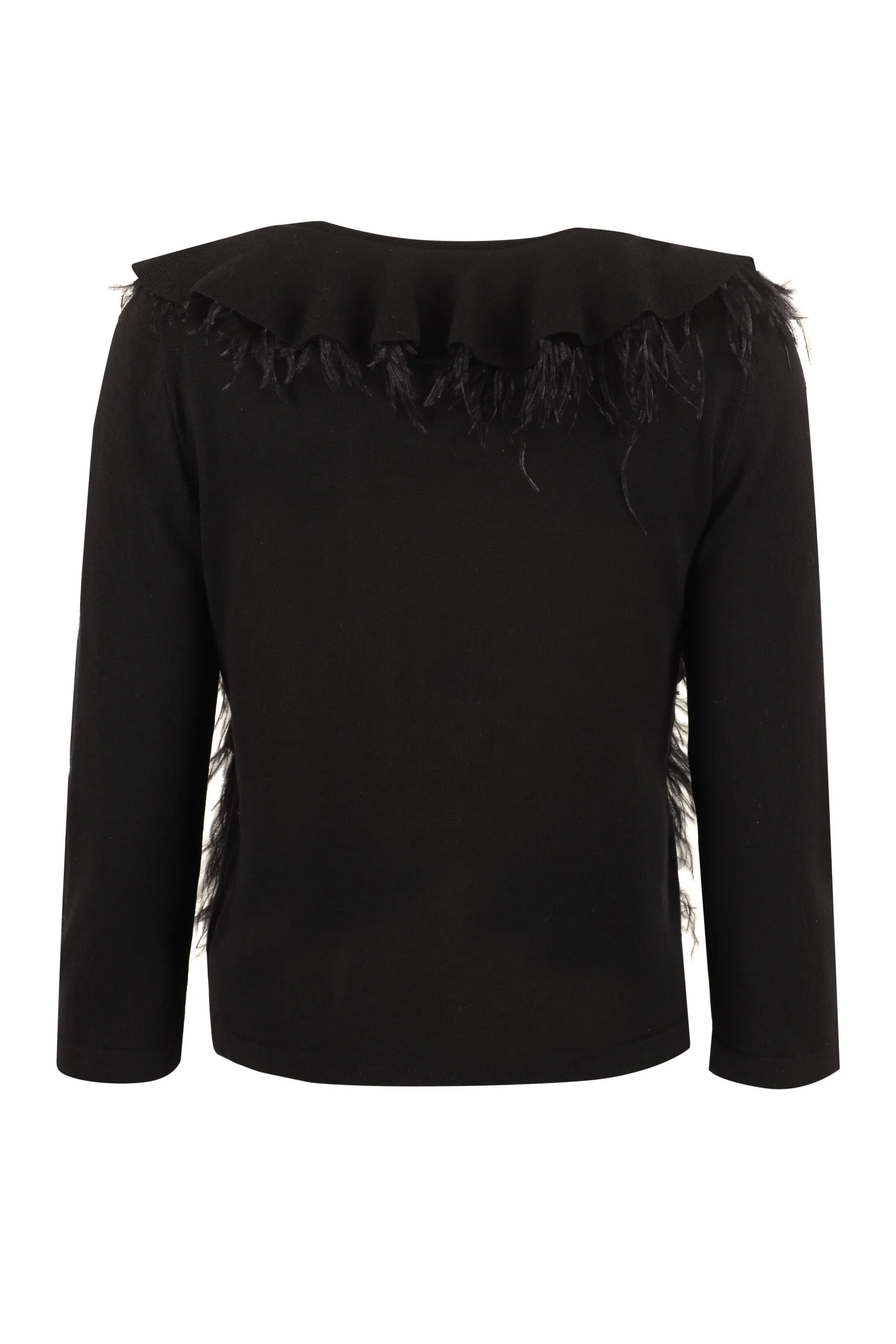 Alberta Ferretti Feather Embellished Knit Jumper