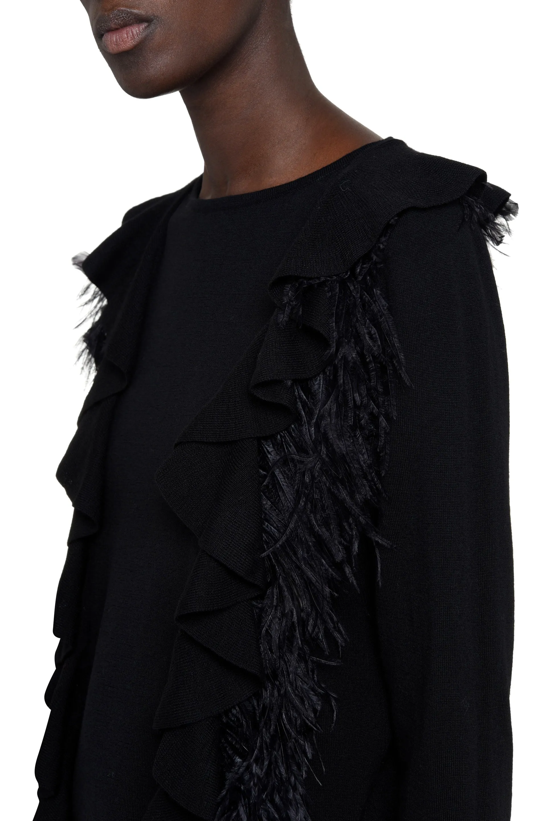 Alberta Ferretti Feather Embellished Knit Jumper