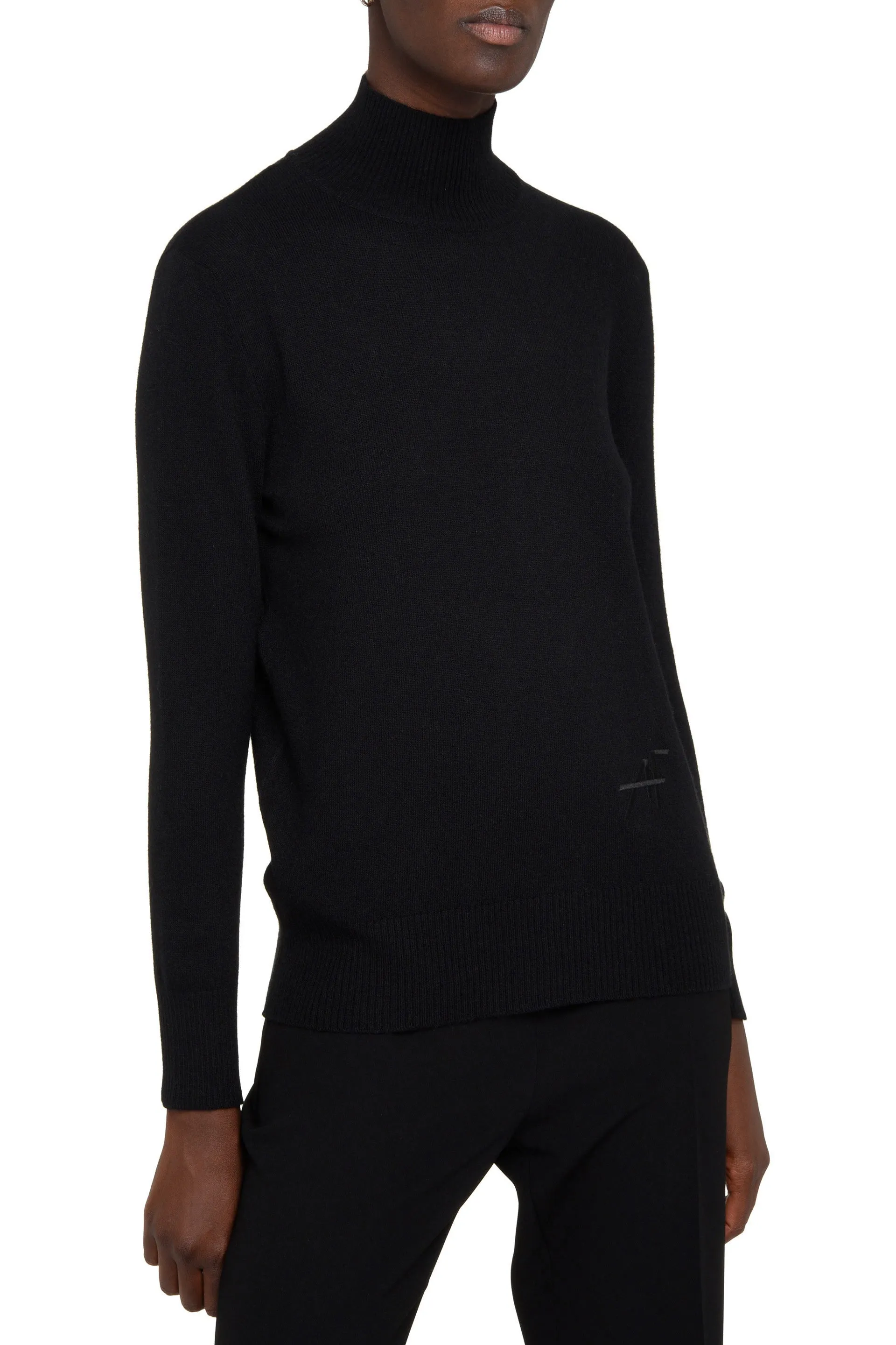 Alberta Ferretti Turtleneck Knit Sweater