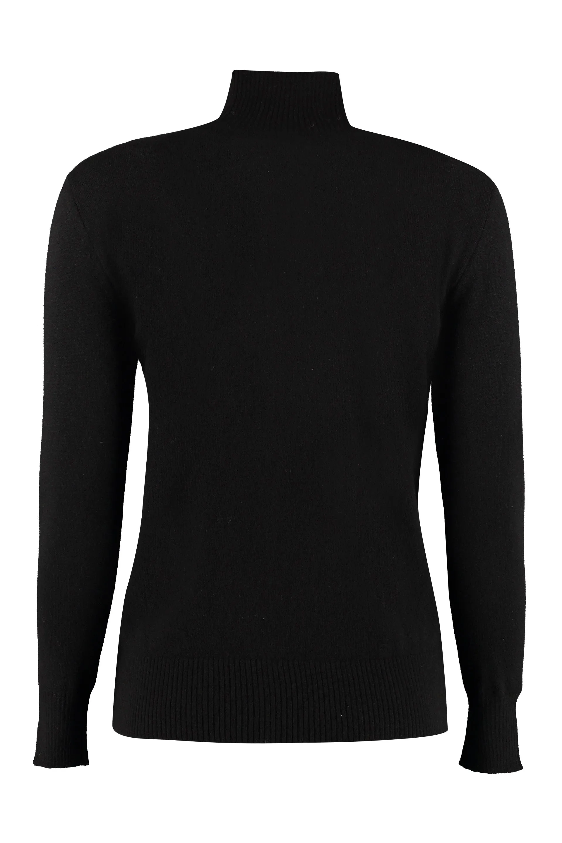 Alberta Ferretti Turtleneck Knit Sweater