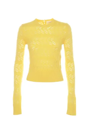 Sportmax Crewneck Open-Knit Sweater